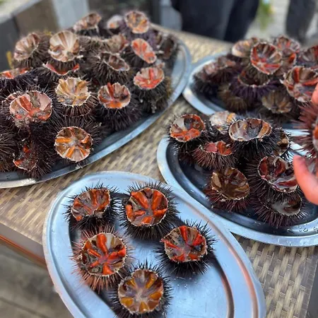 Σπίτι διακοπών A Piazzola Petreto-Bicchisano