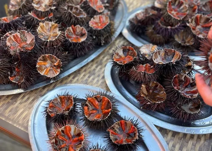 度假居 A Piazzola Petreto-Bicchisano